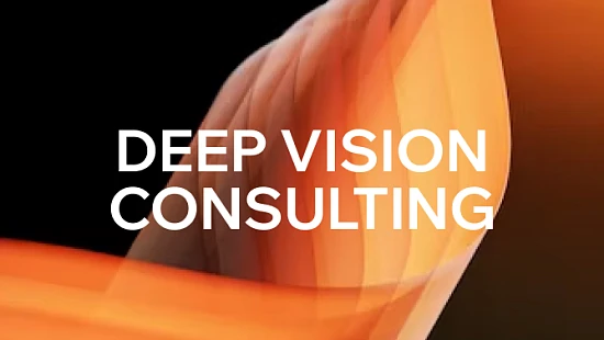 Консалтинговая компания Deep Vision consulting